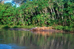 La idea es usar el NRI para monitorear si hay áreas naturales protegidas y espacios verdes cerca de los habitantes