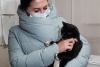 Un gato rescatado en Rusia se convierte en viceministro regional