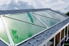 Mexicano crea paneles solares de microalgas para impulsar energía renovable