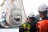 Par de belugas sonríen al ser liberadas tras sufrir años de cautiverio