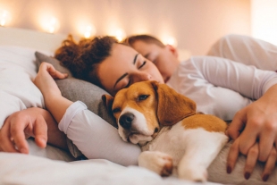 ¿Duermes con tu perro? Atento a esta información