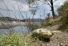 Laguna de Salazar muere a causa de descargas de aguas negras
