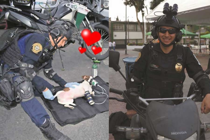 ¡Rescate en dos ruedas! Él es Kevin Laguna, el paramédico de mascotas que la rompe en TikTok