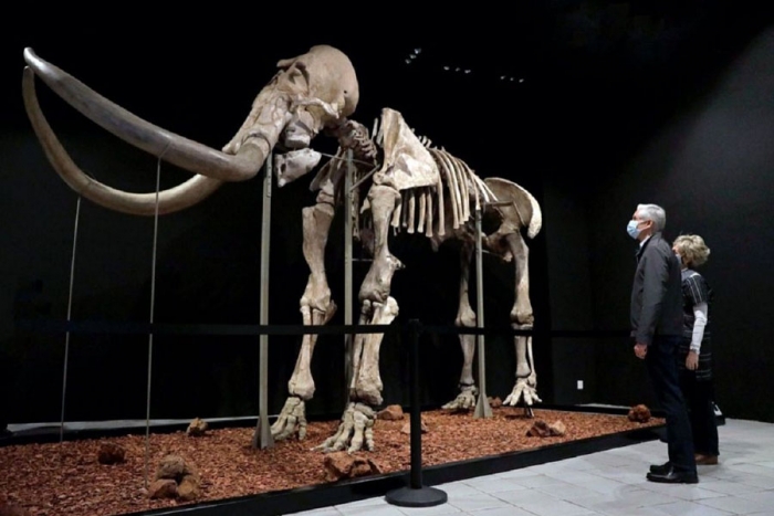 Museo de Antropología e historia del CCM reabre sus puertas tras importante modernización