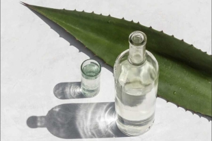 Llega a la CDMX el Encuentro Nacional de Maestros del Mezcal