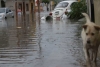 Lluvias dejan afectaciones en Durango