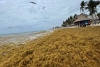 Advierten récord por acumulamiento de sargazo en playas mexicanas