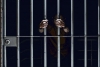 Sancionarán con 10 años de prisión ataques con ácidos