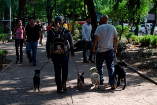 Paternidad en riesgo, aumenta número de parejas sin hijos en México