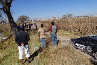 Encuentran cadáver en una milpa en San Diego de Los Padres Cuexcontitlán.