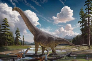 Huesos encontrados en China revelan una nueva especie de titanosaurio del periodo Cretácico