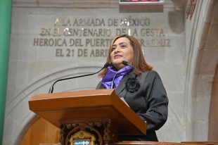 La iniciativa también prohíbe a las instituciones públicas despedir a las servidoras que hagan uso de esta licencia