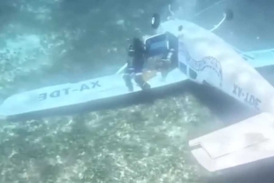 La avioneta se desplomó por una posible falla en el motor.