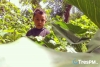 Entre el bosque