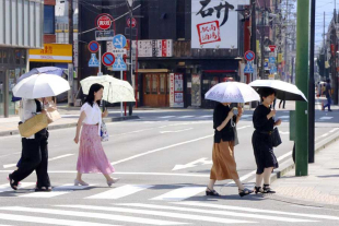 Los involucrados planean presentar un segundo oficio en febrero de 2026