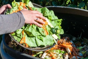 El estudio presenta una estimación mundial sobre el desperdicio de alimentos a nivel de minoristas y consumidores