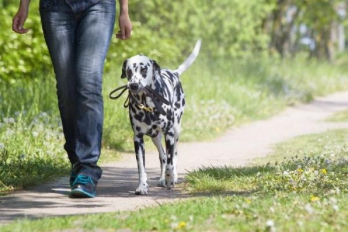 4 mil de multa por pasear a tu perro sin correa en Ecatepec