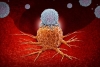 Inmunoterapia, un aliado para en cáncer de vejiga y renal
