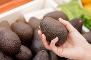 Precio del aguacate se dispara al nivel más alto después de dos décadas