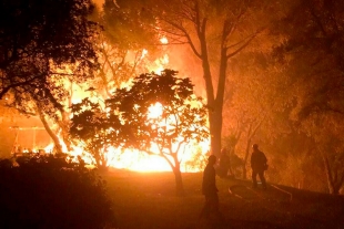 Incendio en Riviera francesa deja una persona fallecida
