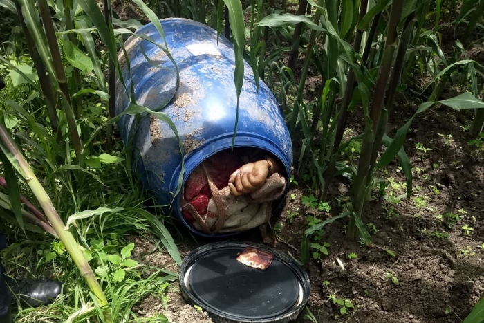 Dejan cadáver en un tambo abandonado entre milpas en Toluca