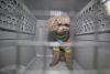 ¡WOW! China estrena servicio de viajes para mascotas en trenes de alta velocidad