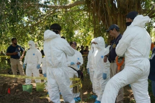 Encuentran los restos de 7 personas en una barranca, en Michoacán