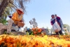 Visten con flores panteones de la zona Otomí de Toluca