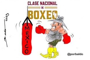 Clases de box