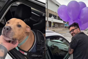 El recorrido no pasó desapercibido para quienes circulaban cerca