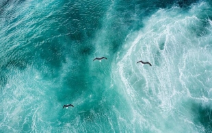 Un nuevo estudio acaba de revelar que la corriente oceánica del Atlántico se ha debilitado durante las últimas dos décadas