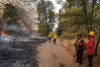 Incendios forestales devoran bosques en 11 municipios de Oaxaca