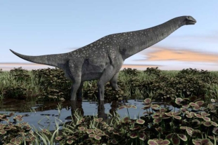 Descubren en España los restos de un nuevo y gigante dinosaurio