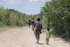 Pese a operativos, inmigrantes buscan nuevas rutas para llegar al país