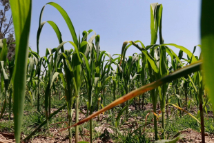 La funcionaria admitió que el sector rural enfrenta grandes desafíos derivados del abandono institucional de décadas
