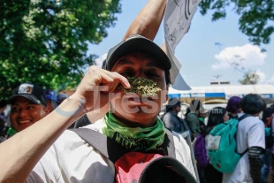 Celebran jóvenes 4/20 en Toluca