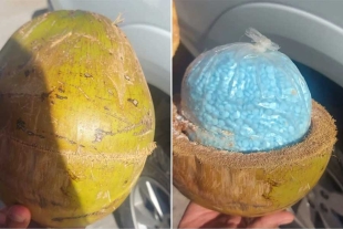 Decomisan en Sonora cargamento de cocos… rellenos de fentanilo