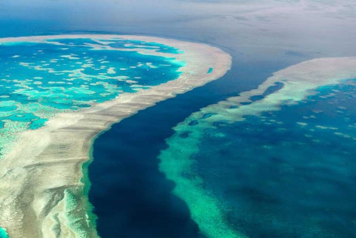 Australia confirma nuevo blanqueamiento en la gran barrera de coral