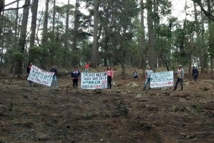 Devastan bosques de San Felipe del Progreso