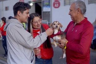 Esta iniciativa ya suma 95 ejemplares adoptados