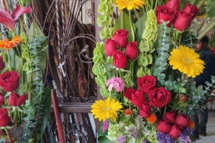 Otra de las flores más buscadas además de las rosas, son las orquídeas cuyo costo va desde los 350 pesos. 