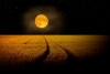 La asombrosa Luna de Maíz y otros fenómenos astronómicos que llegan en septiembre