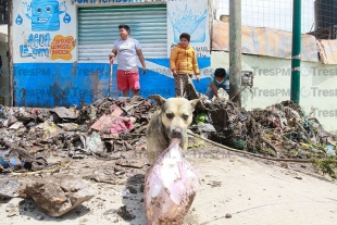 Foto: Alejando Vargas