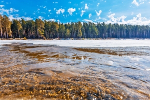 Ola de calor fríe a Siberia