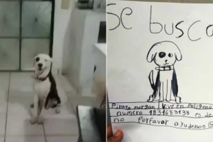 La ilustración de la niña se hizo viral en diversas plataformas digitales