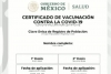 Ya puedes tramitar el certificado de vacunación COVID-19 en México