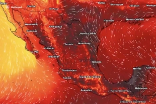 Van 8 muertos por temporada de calor