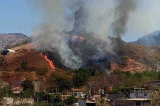 Activan Plan DN-lll por incendio forestal en Almoloya de las Granadas, Tejupilco