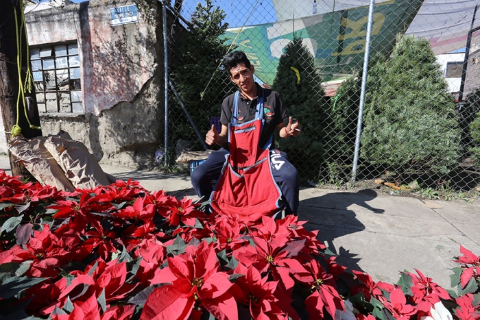 Símbolo navideño