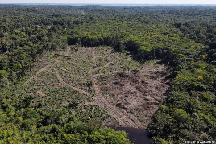 La Unión Europea prohibe importar materias primas causantes de deforestación